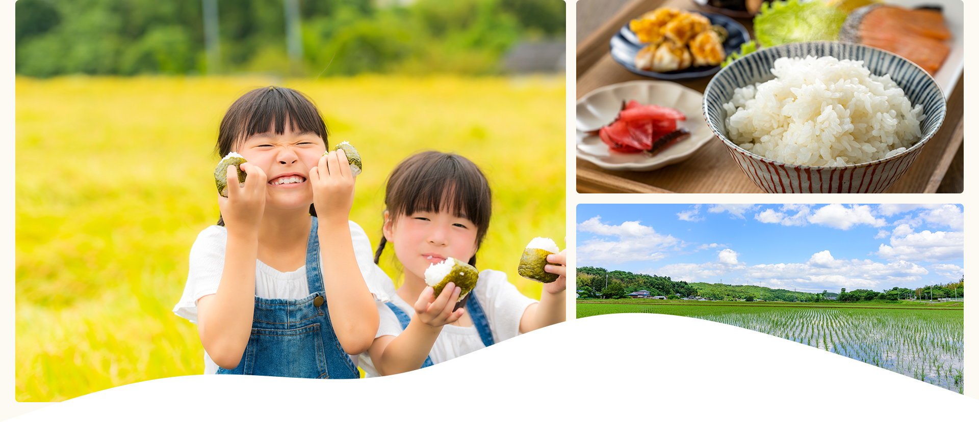子どもに、食べさせたいと思えるお米を。